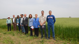 YEM BİTKİSİ EKME ALANLARI YAYGINLAŞTIRILACAK