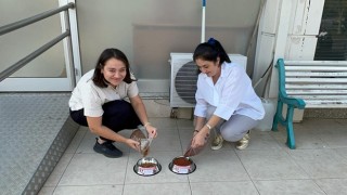 TREPAŞ, SOKAK HAYVANLARININ YANINDA