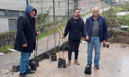ZİRAAT ODASI, ÇİFTÇİLERE BİN 500 MEYVE FİDANI DAĞITTI