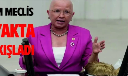 TÜM MECLİS YONTARI AYAKTA ALKIŞLADI