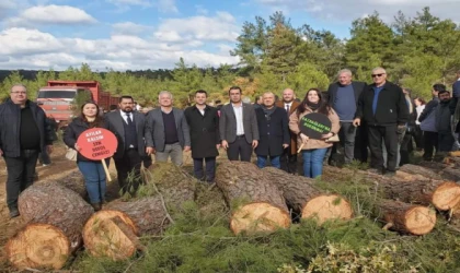 CHP TEKİRDAĞ MİLLETVEKİLİ AYGUN,''CİĞERLERİMİZİ KESİYORLAR”