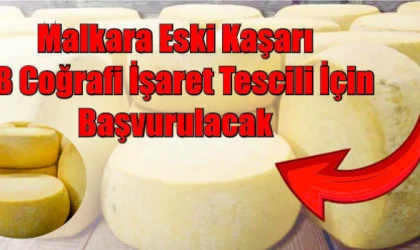 Malkara Eski Kaşarı AB Coğrafi İşaret Tescili İçin Başvurulacak