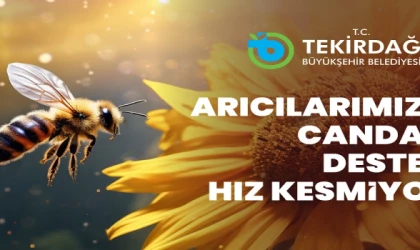ARICILARA CANDAN DESTEK  ARI YAŞAM GÜCÜ PROJESİ İÇİN BAŞVURULAR BAŞLADI