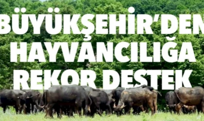 TEKİRDAĞ BÜYÜKŞEHİR BELEDİYESİ’NDEN HAYVANCILIĞA REKOR DESTEK