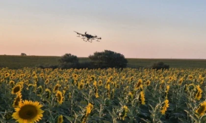TEKİRDAĞ'DA ÇEKİRGE İSTİLASI: DRONE İLE İLAÇLAMA BAŞLATILDI
