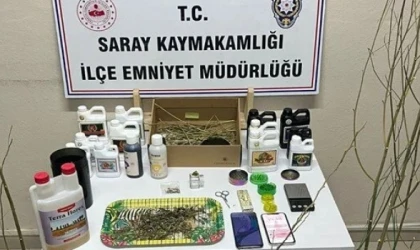Saray’da Uyuşturucu Operasyonu: Silahlar ve Kenevir Ele Geçirildi