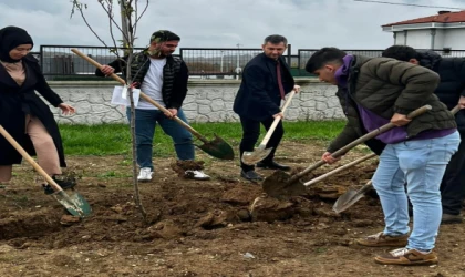 “Sevdamız Yeşil Vatan” Etkinliğinde Fidanlar Toprakla Buluştu