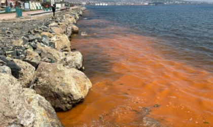 TEKİRDAĞ KIYILARINDAKİ RENK DEĞİŞİMİNİN SIRRI ÇÖZÜLDÜ: NEDENİ ALG PATLAMASI