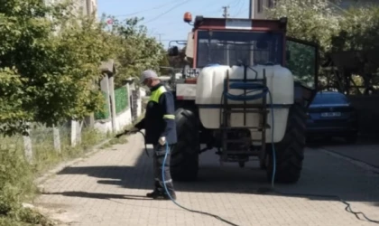 ERGENE BELEDİYESİ YAZA HAZIRLANIYOR