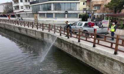 TEKİRDAĞ’DA HAŞERELERE KARŞI 5 BİNİ AŞKIN NOKTADA ÇALIŞMA