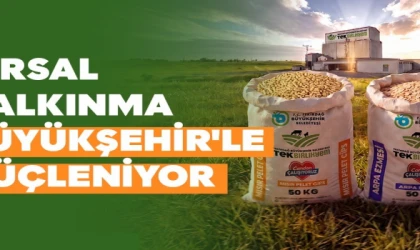 Büyükşehir’den üreticiye yem desteği
