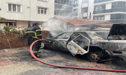 Park halinde ki araç alevlere teslim oldu
